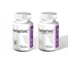 GeriatiVet Dog / GeriatiVet Dog large breed