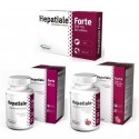 Hepatiale Forte /Hepatiale Forte small breed / Hepatiale Forte large breed