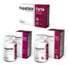 Hepatiale Forte /Hepatiale Forte small breed / Hepatiale Forte large breed